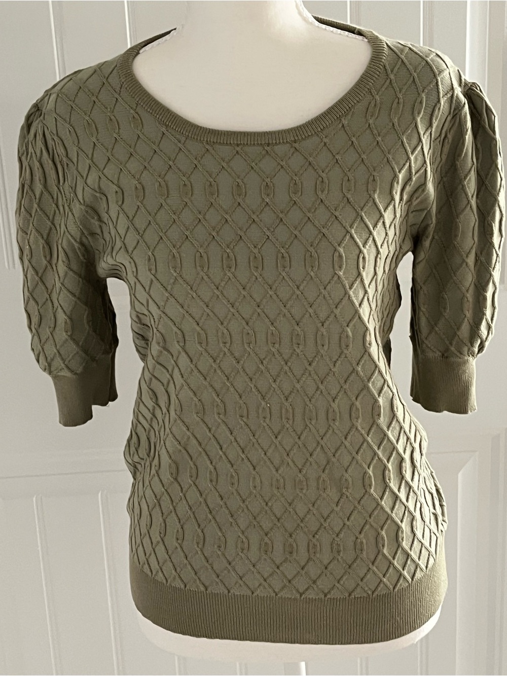 Premise Olive Scoop Neck Textured Short Sleeve Sweater